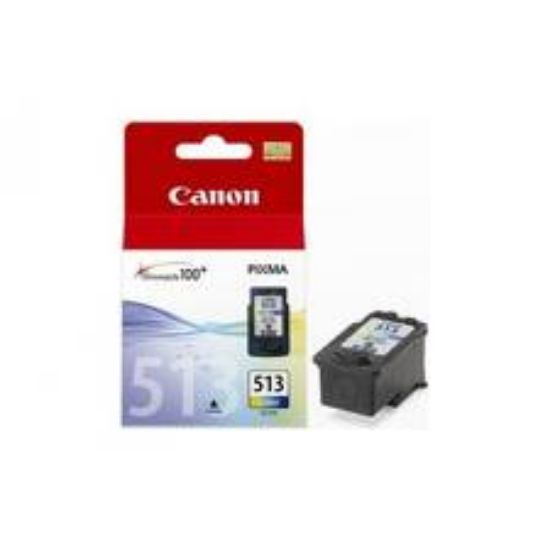 CANON 2971B007 CL-513 RENKLI KART