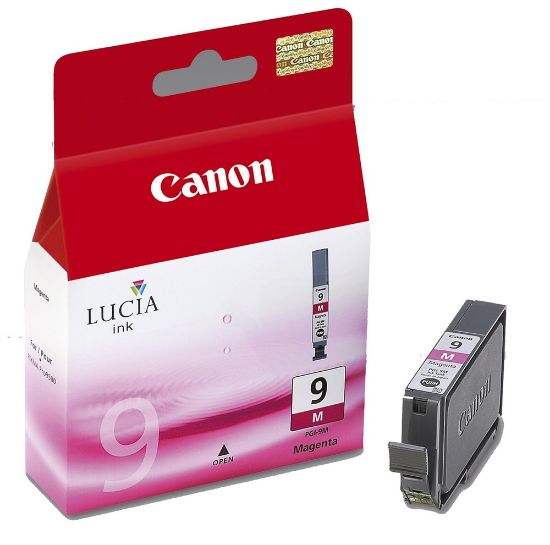 CANON 1042B001 PGI-9GY GRI MUR KART
