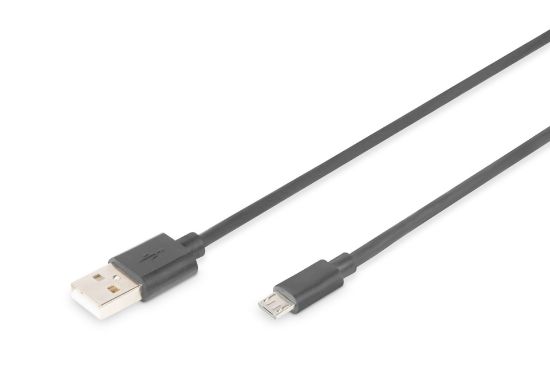 Assmann AK-300110-010-S